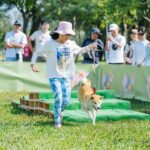 毛孩「野」要一起chill！　台中市民野餐日「中央公園」變身寵物派對樂園！