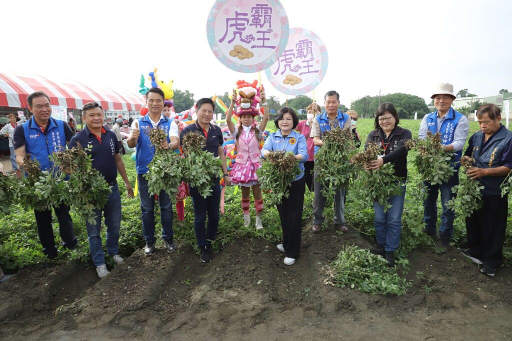 虎尾千人「拷土豆」　體驗當季農趣