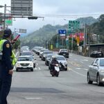 大湖草莓溫泉季週末登場　苗警如臨大敵估車流上看4萬車次