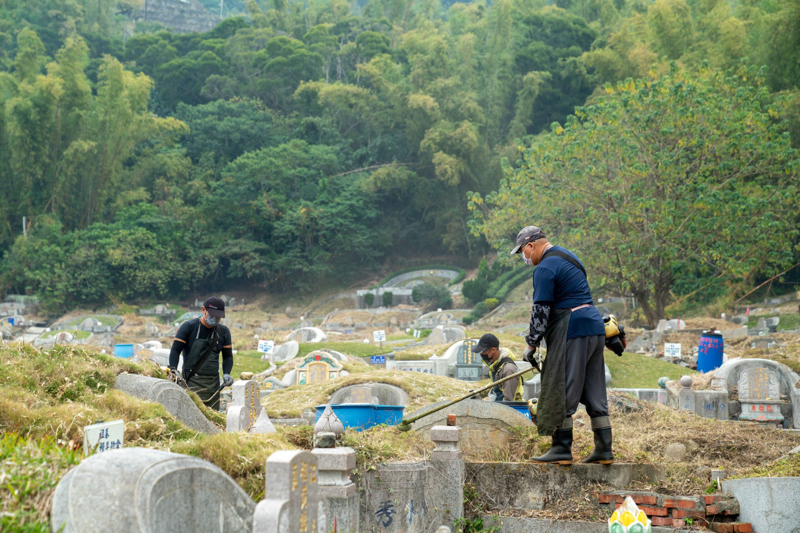 超前部署！-迎接元宵後客家掃墓-　中市客家庄提前啟動公墓除草清運