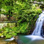 把握最後一天年假　吸芬多精補元氣「森遊竹縣」