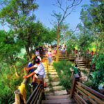 訂房率六都第一！　中市各人氣景點穩居春節旅遊首選