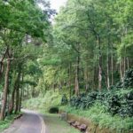 中市農業局輔導農會打造東勢「四角林咖啡莊園」-　造就百萬隻螢火蟲生態共存