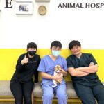 助飼主與毛孩安心過年！-　中市動保處春節不打烊任務圓滿完成