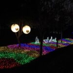 魔樹之眼驚見「章魚大逃亡」竟嚇出n種髮型! 中市農業局:邀請民眾親自一探究竟