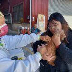 共護毛孩健康　中市動保處犬貓狂犬病巡迴注射活動3月開跑