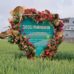 大雅小麥產業文化節記者會今登場-　2/28邀您體驗金色麥浪