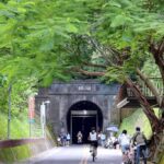 台中城市景點人氣爆棚! 二二八3天連假吸引逾162.6萬人次造訪