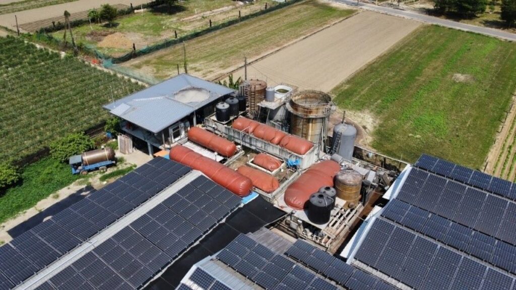 「黃金」變「綠金」! 全國第一家取得綠電憑證民營養豬場在高雄