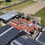 「黃金」變「綠金」！　全國第一家取得綠電憑證民營養豬場在高雄