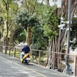 嘉油鐵馬道大聲公　3月1日上線　違規件數下降