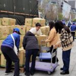 北農攜手市府推高麗菜團購　雲嘉優質菜熱銷205箱