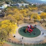 台中花都繽紛浪漫　中市觀旅局揭一年四季賞花情報