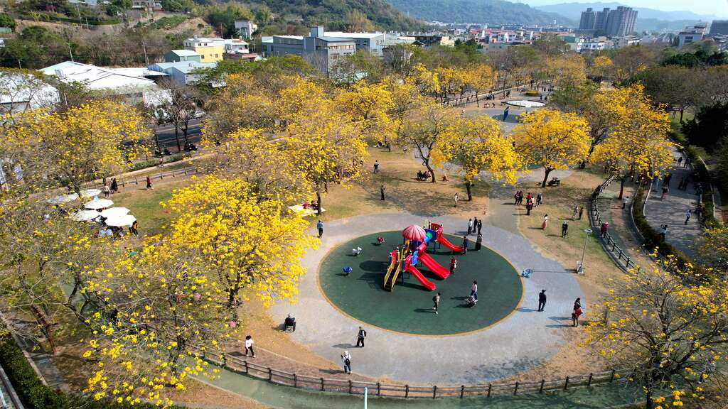 台中花都繽紛浪漫 中市觀旅局揭一年四季賞花情報