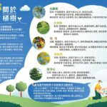 在植樹節種下綠色希望-　高雄農業局22800株樹苗免費送市民