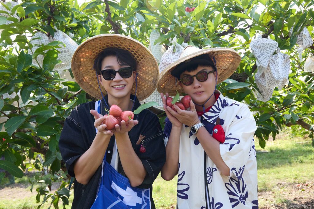 江宏傑-許富凱黑珍珠故鄉採收蓮霧率先達標