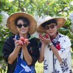 江宏傑-許富凱黑珍珠故鄉採收蓮霧率先達標