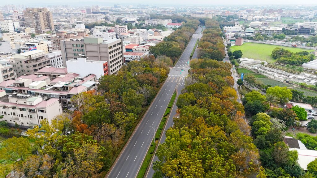 最美桃花心木廊道落葉期 嘉市府籲行車安全平安回家
