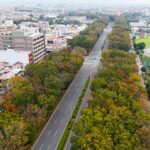 最美桃花心木廊道落葉期　嘉市府籲行車安全平安回家