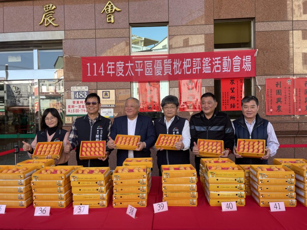 台中市太平區優質枇杷評鑑成績揭曉 農友黃實全、沈阿香勇奪枇杷王