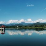 推展美濃湖生態旅遊　觀光局攜手鳥會打造水雉棲地天堂