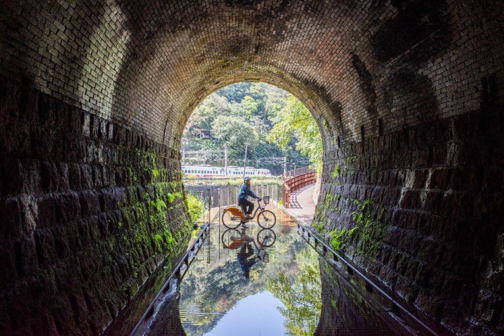 新北youbike天天用量破10萬　強身減碳「一騎出花」踏青趣