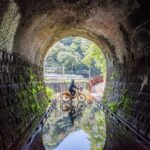 新北youbike天天用量破10萬　強身減碳「一騎出花」踏青趣