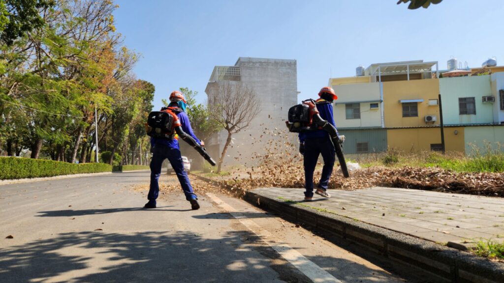 正值桃花心木落葉期 嘉市讓「落葉變黃金」化作堆肥更護花