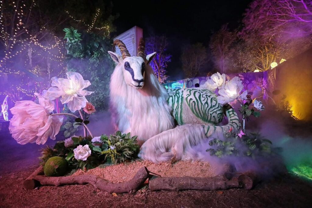 中市建設局「時空狂想曲」大放異彩! 奪2025-muse、法國設計大獎雙金獎肯定