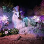 中市建設局「時空狂想曲」大放異彩！　奪2025-muse、法國設計大獎雙金獎肯定