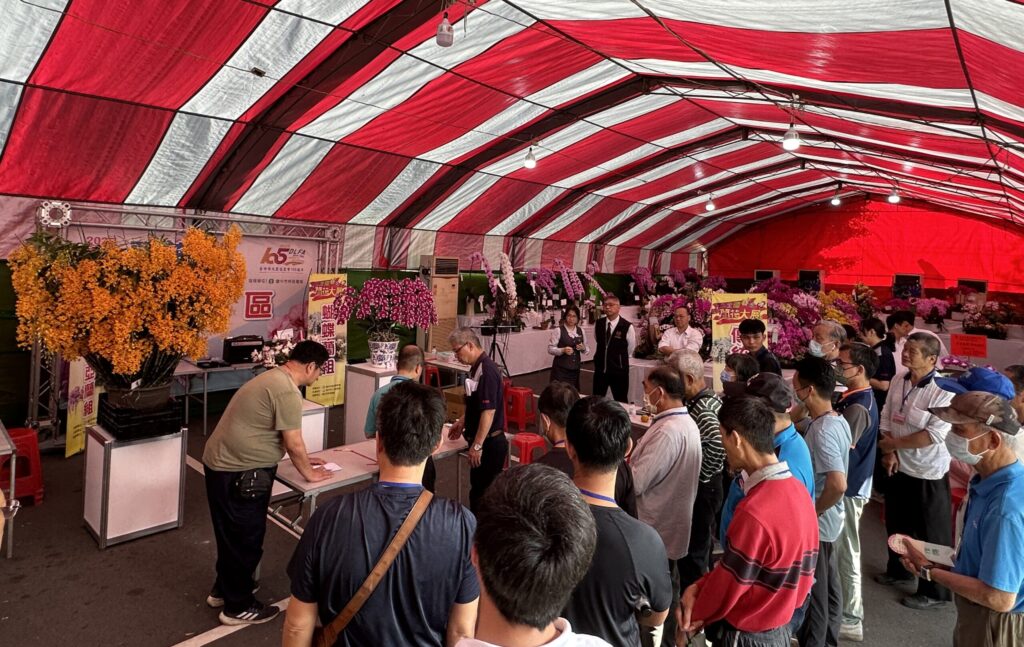 台灣蘭花揚名海外-　2025春季蘭花評鑑競賽由何國芳勇奪全場總冠軍