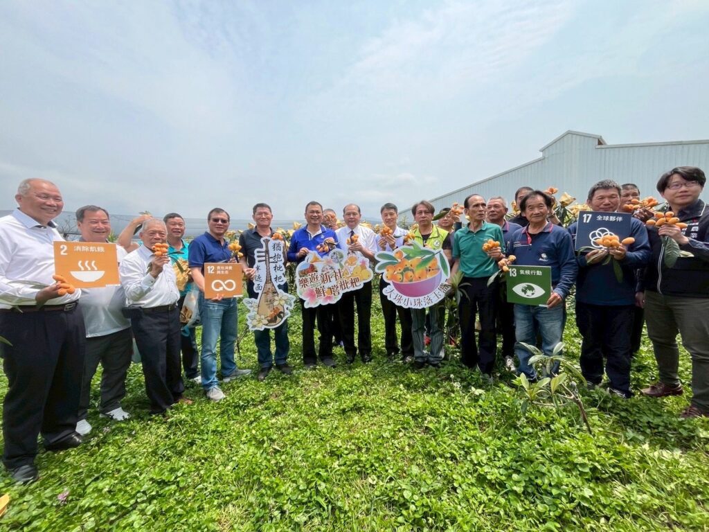 樂遊新社鮮嚐枇杷! 中市農業局輔導農會推出春日果園食農體驗與農遊