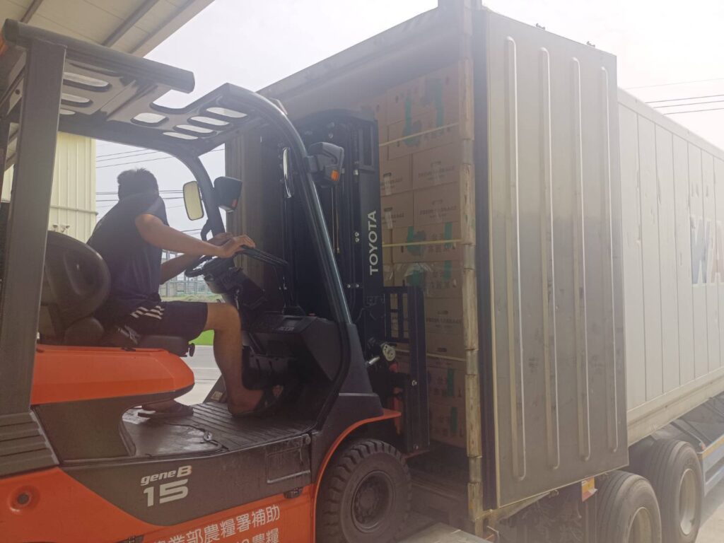 菜「出」有名!北農第4櫃高麗菜再銷日本