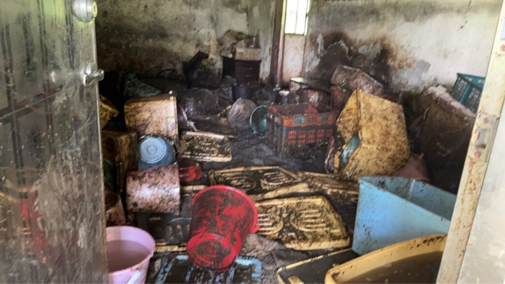 山區屋內不當飼養犬隻 環境惡臭髒亂 致狗狗染病 新北動保處救援並罰9萬8千元