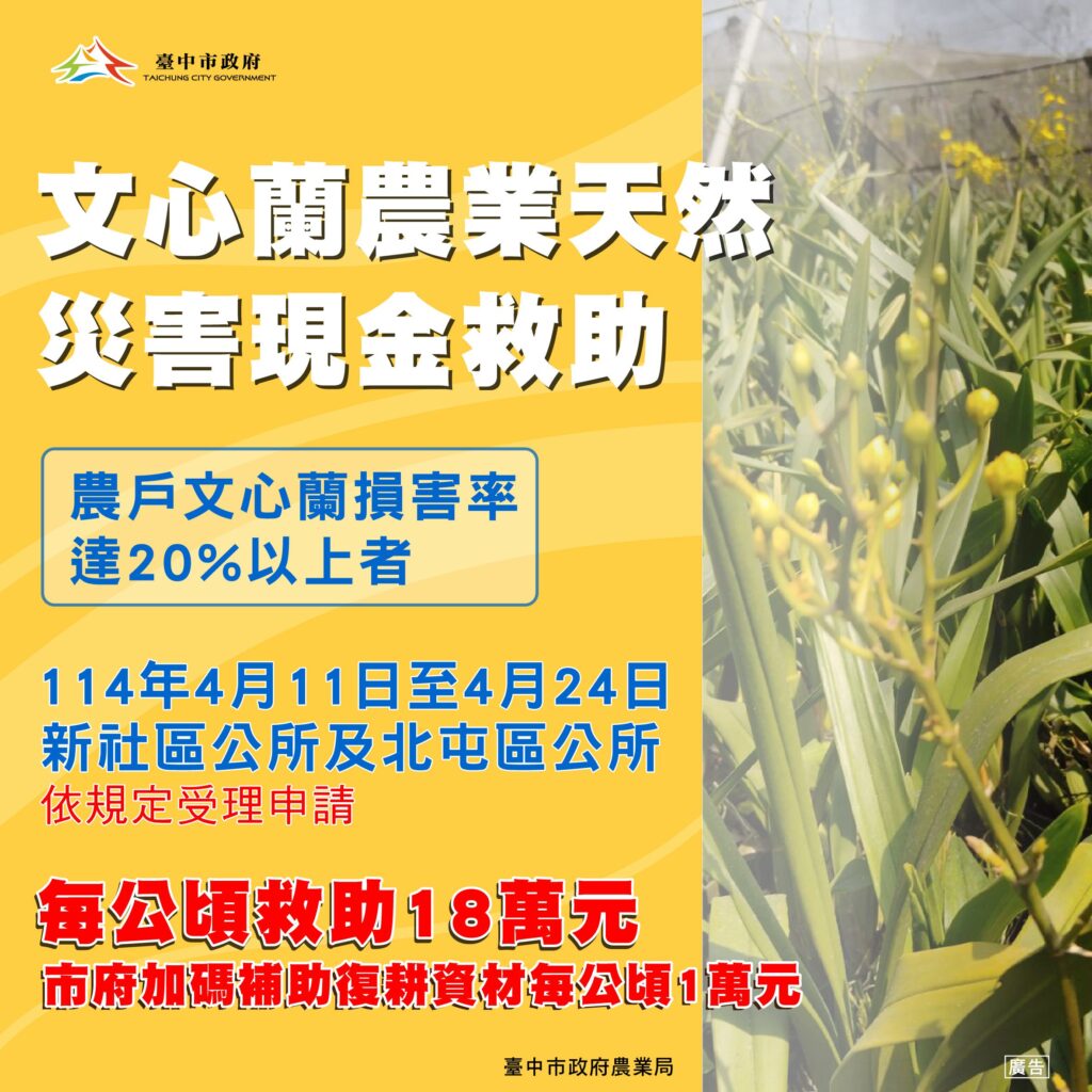 中市新社區及北屯區文心蘭災損- 4/24前可申請現金救助