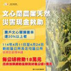 中市新社區及北屯區文心蘭災損-　4/24前可申請現金救助