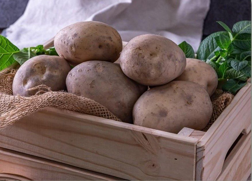 北農4/19辦馬鈴薯新品試吃會　香蒸醋溜料理亮相萬大市場