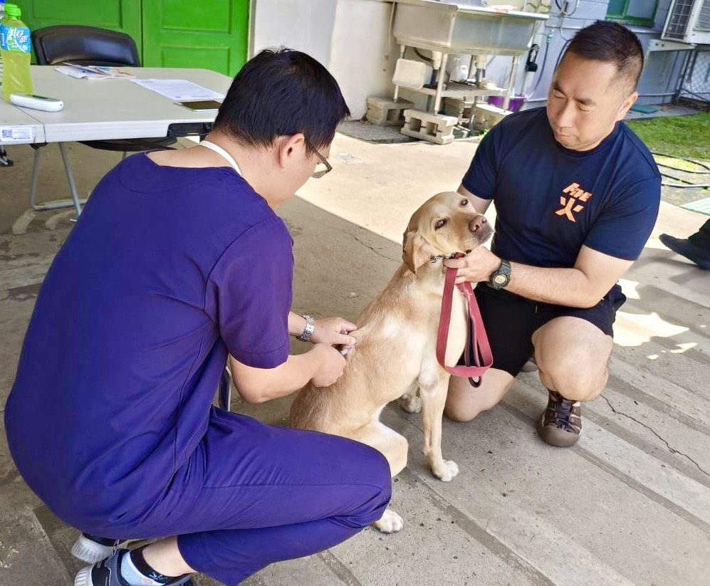 毛英雄健康出任務! 動保處提供搜救犬與警犬疫苗保護