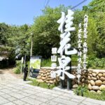 賞花正是時候！　-大甲鐵砧山新景點桂花泉步道登場