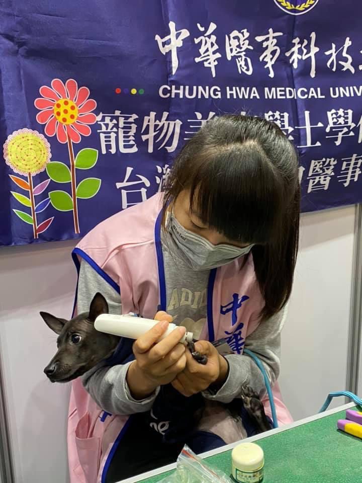 中華醫大寵護系攜手產官學界-4月26、27日在台南市南區舉喜公園舉辦「搖尾草狗狗派對」