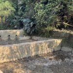 汛前維護勝於災後搶修　中市水利局加強野溪、滯洪池清疏維護作業