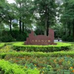 天上星星降落大安森林公園 戀戀螢火蟲音樂會 歌頌城市生態