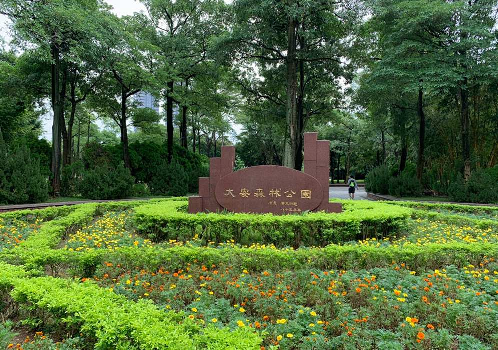 天上星星降落大安森林公園 戀戀螢火蟲音樂會 歌頌城市生態