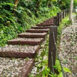 油桐花季夢幻登場　新北推土城三大賞花點