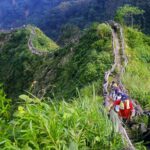 台中加入「自然城市平台」　城市治理接軌國際融入保育新思維