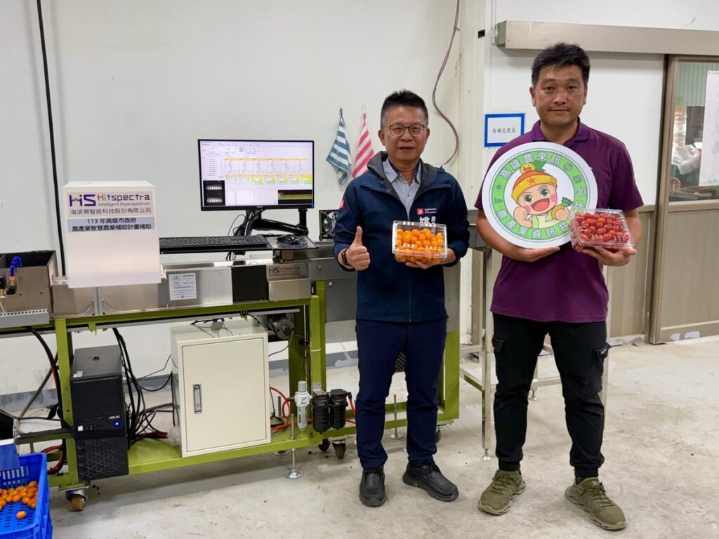 高雄小番茄變聰明！　ai挑好果-人力需求減半、效率增5成