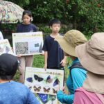 夏日山林化身賞蝶秘境! 大坑限定活動5/12開放報名