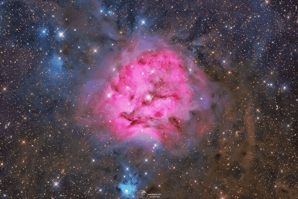 來自三千光年外的祝福　「康乃馨星雲」為母親們美麗綻放