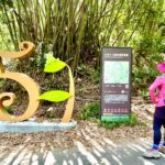 跟著布朗青蛙去旅行！　中市觀旅局力邀民眾探索大坑5-1號手作文學步道