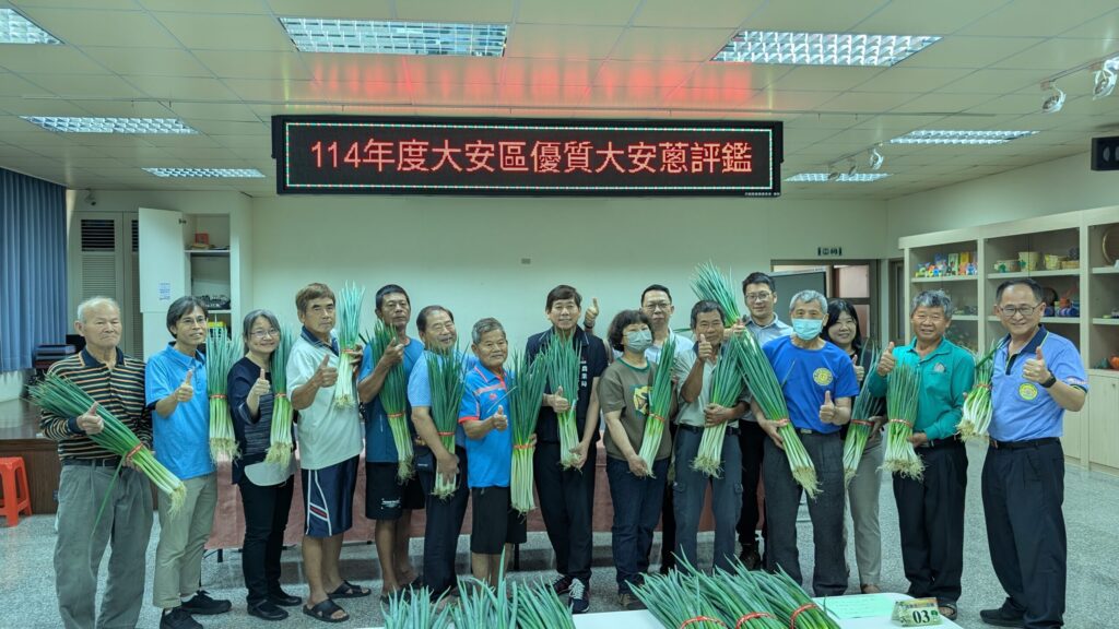 台中優質大安葱盛產期風味絕佳　農友黃加茵勇奪青葱冠軍